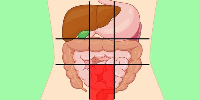 Nhờ bản đồ bụng này mà bạn sẽ biết các cơn đau ở mỗi vị trí trên bụng là do nguyên nhân nào gây ra - Ảnh 8.