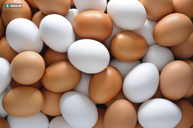  Trứng gà chạy bộ có tốt hơn trứng gà nuôi nhốt: Bạn có đang mua trứng đúng giá trị thật? - Ảnh 2.