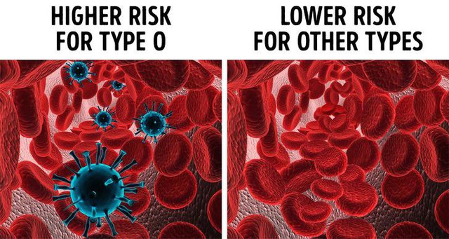 Nếu mang nhóm máu O, đây là 7 điều giá trị bạn cần biết về thứ dung dịch quý giá nhất với sự sống này để tự bảo vệ sức khỏe - Ảnh 3.