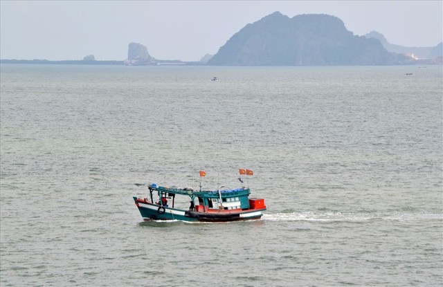 Nghề nuôi cá bạc tỷ ở Sơn Hải - Ảnh 2.