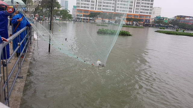 Hình ảnh chưa từng có ở Đà Nẵng: Xuồng bơi trên phố, người dân quăng lưới bắt cá giữa biển nước mênh mông - Ảnh 16.