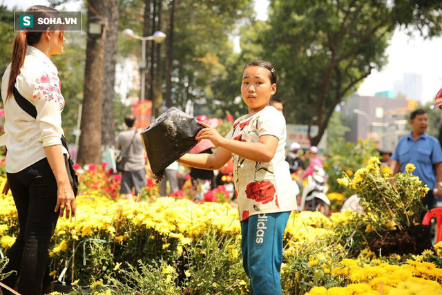 Không bán hết hàng trưa 30 Tết, tiểu thương dùng gậy đập nát chậu hoa, vứt vào thùng rác - Ảnh 13.