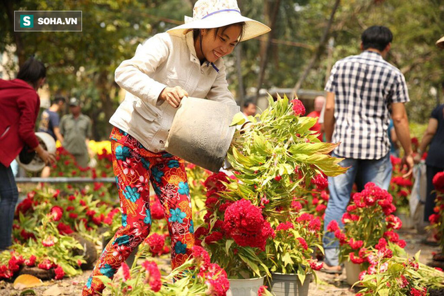 Không bán hết hàng trưa 30 Tết, tiểu thương dùng gậy đập nát chậu hoa, vứt vào thùng rác - Ảnh 15.