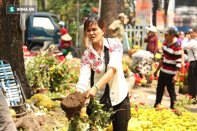 Không bán hết hàng trưa 30 Tết, tiểu thương dùng gậy đập nát chậu hoa, vứt vào thùng rác - Ảnh 18.