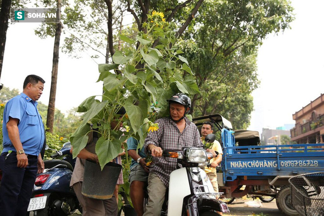 Không bán hết hàng trưa 30 Tết, tiểu thương dùng gậy đập nát chậu hoa, vứt vào thùng rác - Ảnh 3.