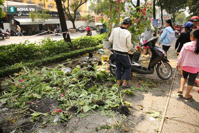 Không bán hết hàng trưa 30 Tết, tiểu thương dùng gậy đập nát chậu hoa, vứt vào thùng rác - Ảnh 21.