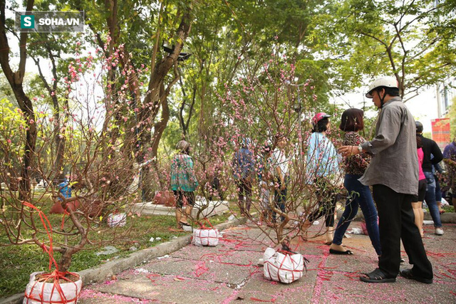 Không bán hết hàng trưa 30 Tết, tiểu thương dùng gậy đập nát chậu hoa, vứt vào thùng rác - Ảnh 6.