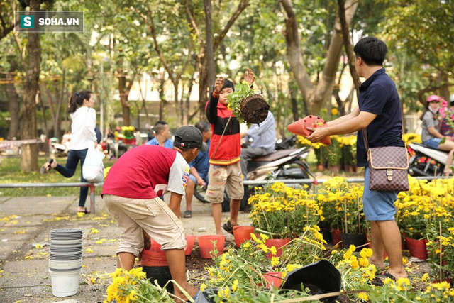 Không bán hết hàng trưa 30 Tết, tiểu thương dùng gậy đập nát chậu hoa, vứt vào thùng rác - Ảnh 10.