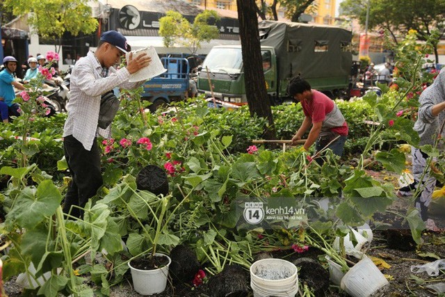 Câu chuyện đáng yêu về hai vợ chồng “dịu dàng giữa thịnh nộ”: Mang hoa ế 30 Tết trang trí cho vòng xoay ở Sài Gòn - Ảnh 2.