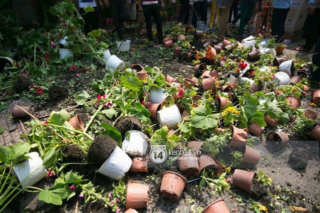 Câu chuyện đáng yêu về hai vợ chồng “dịu dàng giữa thịnh nộ”: Mang hoa ế 30 Tết trang trí cho vòng xoay ở Sài Gòn - Ảnh 3.