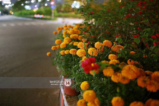 Câu chuyện đáng yêu về hai vợ chồng “dịu dàng giữa thịnh nộ”: Mang hoa ế 30 Tết trang trí cho vòng xoay ở Sài Gòn - Ảnh 6.