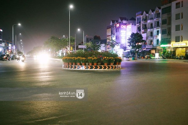 Câu chuyện đáng yêu về hai vợ chồng “dịu dàng giữa thịnh nộ”: Mang hoa ế 30 Tết trang trí cho vòng xoay ở Sài Gòn - Ảnh 8.