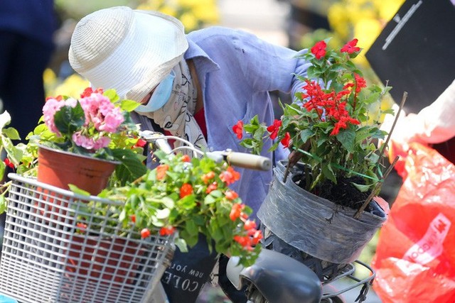  Bế mạc hội hoa xuân Tao Đàn, người dân mót lại hoa sắp cho vào xe rác - Ảnh 12.