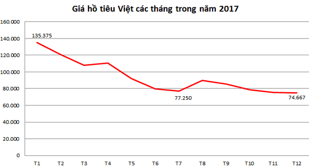 Diện tích trồng tiêu gấp 5 quy hoạch: Giá tiêu giảm, cây tiêu chết một người dân trồng thêm 10 - Ảnh 2.