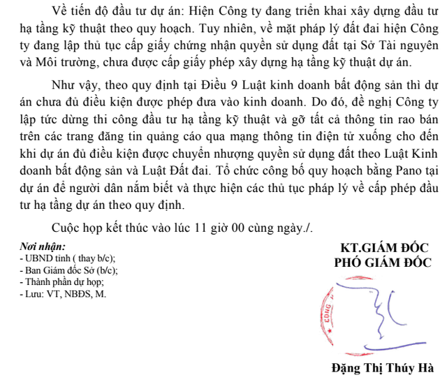 Sau TP.HCM, đến lượt Long An ‘tuýt còi’ hàng loạt dự án rao bán đất nền trái phép - Ảnh 1.