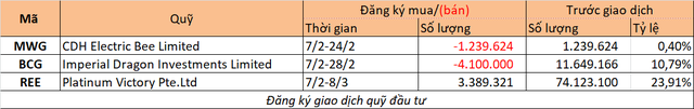 Chuyển động quỹ đầu tư tuần 29/1-4/2 - Ảnh 2.