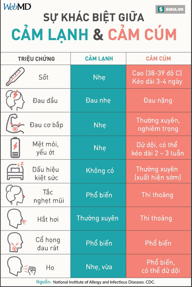 [Đọc nhanh] Sự khác biệt giữa cảm lạnh và cảm cúm, điều bạn nên biết để điều trị chính xác - Ảnh 1.