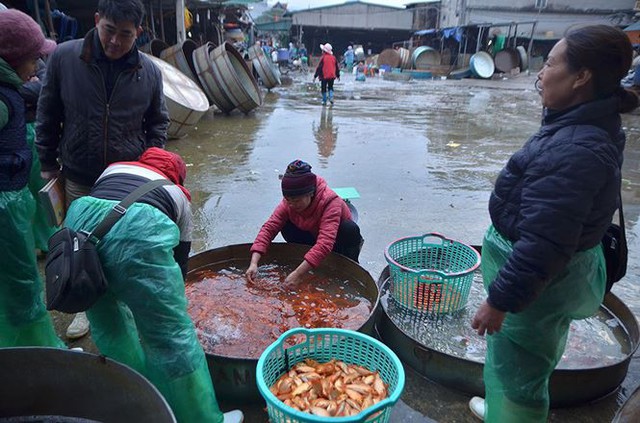 Đỏ rực chợ cá chép lớn nhất Thủ đô trước ngày ông Táo - Ảnh 13.