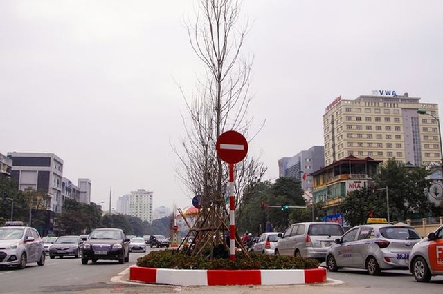 Ngắm đường 10 làn xe đẹp nhất Việt Nam tại Hà Nội - Ảnh 13.