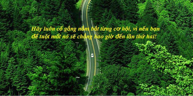 Chuyện cuối tuần: Câu chuyện về vị thương nhân bán bể cá và bài học hãy tự gắn cánh cửa nơi nhà bạn để cơ hội gõ vào - Ảnh 1.