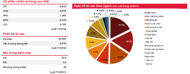 Quỹ nội thắng lợi không kém quỹ ngoại - Ảnh 3.