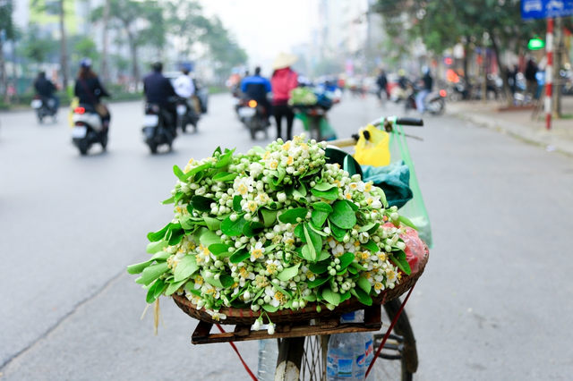 Không cần đi xa, Hà Nội mùa này mới chính là Thiên đường sống ảo - Ảnh 3.