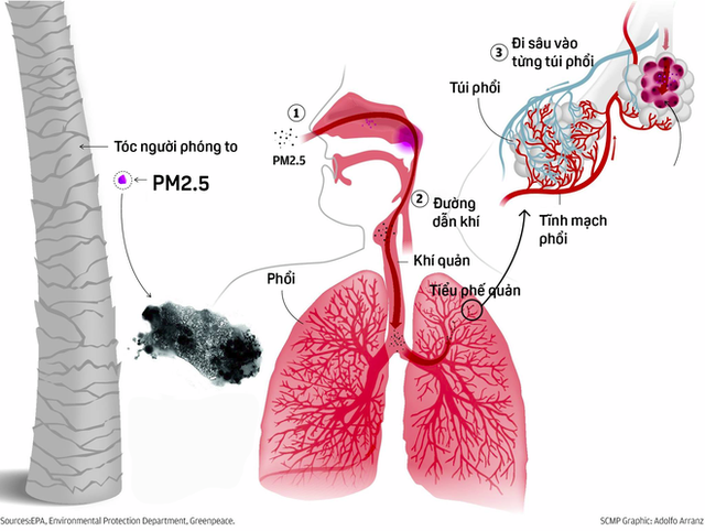 Loại bụi nguy hiểm nhất thế giới có mặt ở Hà Nội, thành phố Hồ Chí Minh có ảnh hưởng như thế nào? - Ảnh 2.