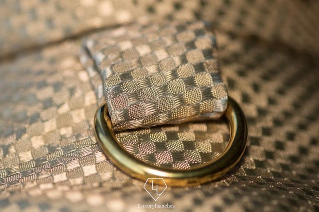 Chiếc áo khoác cho thú cưng đắt nhất thế giới giá hơn 3 tỷ VND, được làm từ vàng 24K và gắn bằng kim cương đen quý giá - Ảnh 2.