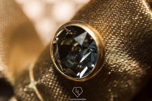 Chiếc áo khoác cho thú cưng đắt nhất thế giới giá hơn 3 tỷ VND, được làm từ vàng 24K và gắn bằng kim cương đen quý giá - Ảnh 3.