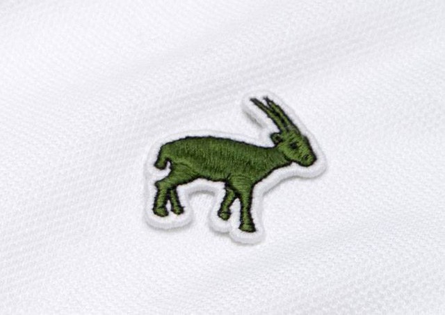Lacoste thay thế logo cá sấu trên áo polo bằng 10 loài động vật có nguy cơ tuyệt chủng - Ảnh 11.