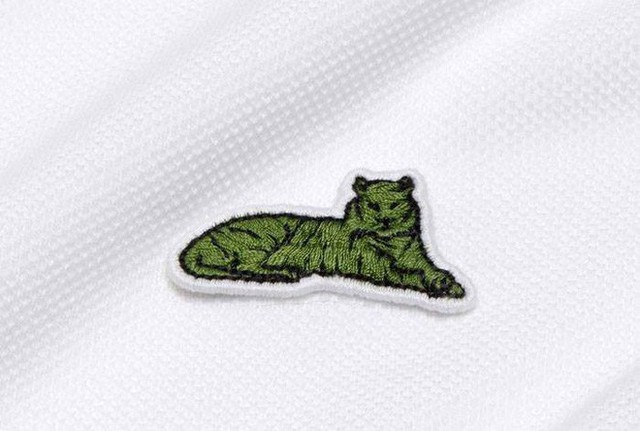Lacoste thay thế logo cá sấu trên áo polo bằng 10 loài động vật có nguy cơ tuyệt chủng - Ảnh 12.