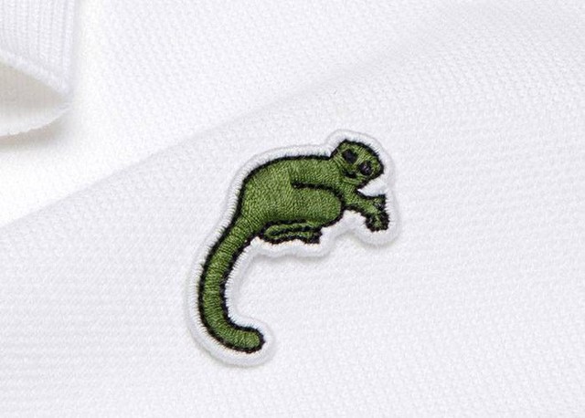 Lacoste thay thế logo cá sấu trên áo polo bằng 10 loài động vật có nguy cơ tuyệt chủng - Ảnh 5.