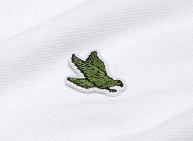 Lacoste thay thế logo cá sấu trên áo polo bằng 10 loài động vật có nguy cơ tuyệt chủng - Ảnh 7.