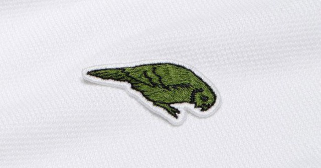 Lacoste thay thế logo cá sấu trên áo polo bằng 10 loài động vật có nguy cơ tuyệt chủng - Ảnh 8.