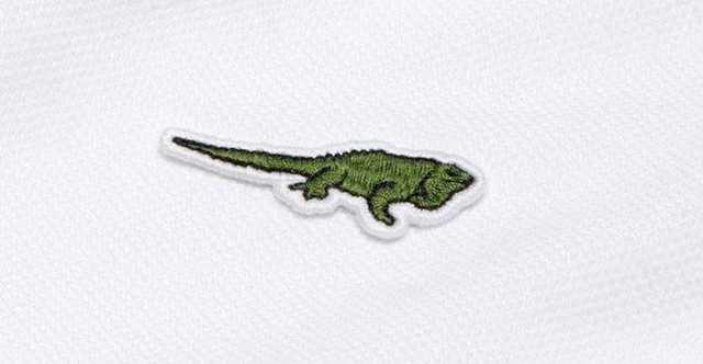Lacoste thay thế logo cá sấu trên áo polo bằng 10 loài động vật có nguy cơ tuyệt chủng - Ảnh 10.