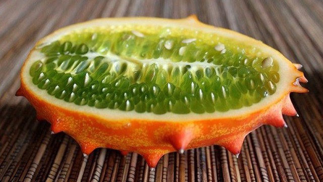 Loại dưa đầy gai vị giống kiwi có giá 400k/quả ở Việt Nam có gì đặc sắc - Ảnh 13.