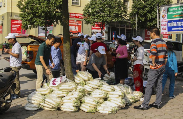 Chùm ảnh: Người Hà Nội nhiệt tình giải cứu củ cải cho nông dân - Ảnh 17.