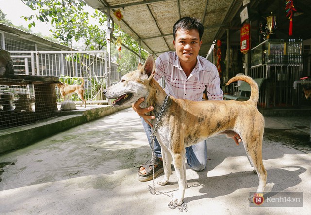 Gặp chàng trai từ phụ bếp trở thành “triệu phú” sở hữu trang trại nuôi chó Phú Quốc trị giá hàng tỷ đồng - Ảnh 2.