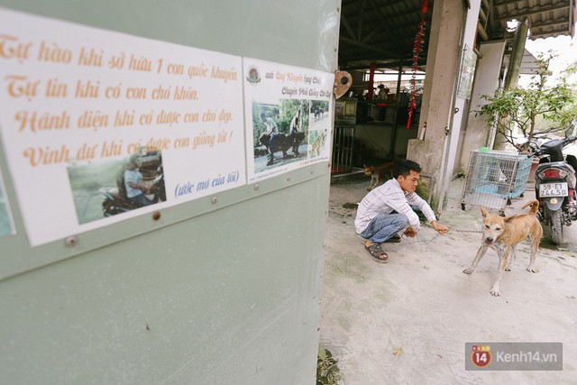 Gặp chàng trai từ phụ bếp trở thành “triệu phú” sở hữu trang trại nuôi chó Phú Quốc trị giá hàng tỷ đồng - Ảnh 3. Gặp chàng trai từ phụ bếp trở thành “triệu phú” sở hữu trang trại nuôi chó Phú Quốc trị giá hàng tỷ đồng - Ảnh 3.
