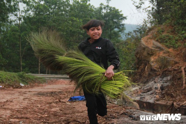 Ảnh: Trẻ em vùng núi Quảng Bình chân trần kéo nhau lên rừng hái lộc trời - Ảnh 9.