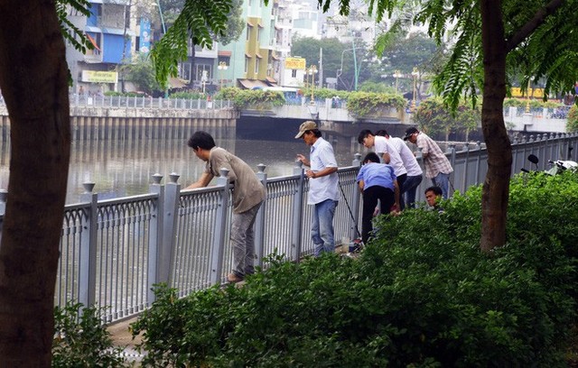 Kênh Nhiêu Lộc - Thị Nghè đen ngòm, cá nổi dày đặc người dân vô tư đứng câu - Ảnh 8.