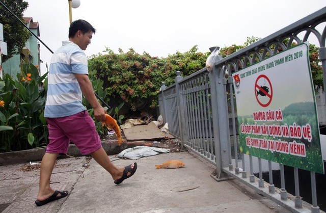 Kênh Nhiêu Lộc - Thị Nghè đen ngòm, cá nổi dày đặc người dân vô tư đứng câu - Ảnh 10.