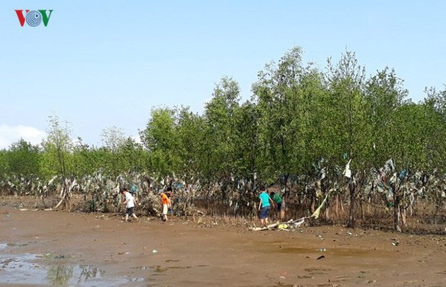  Ảnh: Kinh hoàng rừng cây treo đầy rác ở Thanh Hoá - Ảnh 4.