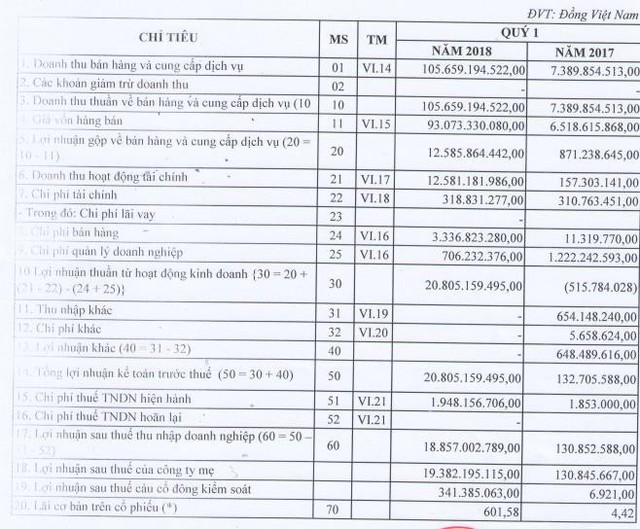 DST báo lãi lớn quý 1, lên mục tiêu kinh doanh đột biến trong năm 2018 - Ảnh 2.