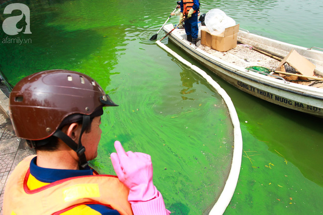 Sáng 17/4 nước Hồ Gươm bỗng xanh bất thường, phát hiện có tảo độc - Ảnh 6.