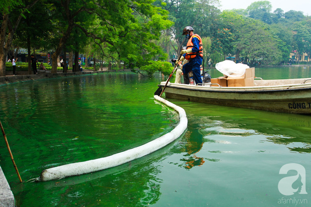 Sáng 17/4 nước Hồ Gươm bỗng xanh bất thường, phát hiện có tảo độc - Ảnh 9.