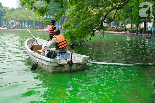 Sáng 17/4 nước Hồ Gươm bỗng xanh bất thường, phát hiện có tảo độc - Ảnh 10.