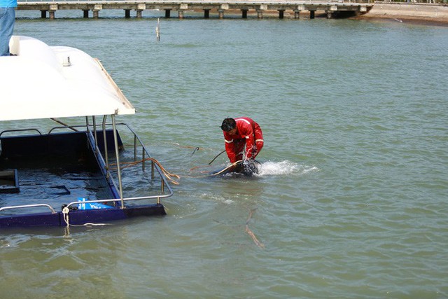  Vụ tàu cao tốc chìm trên sông Sài Gòn: Giám đốc công ty nói gì? - Ảnh 2.