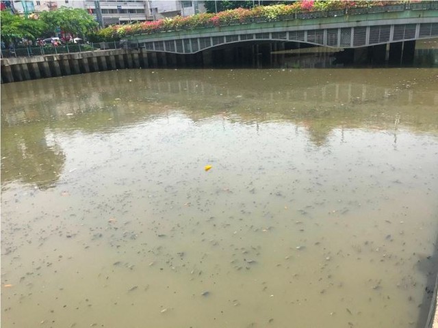 Rác ngập ngụa, cá nổi đầy kênh Nhiêu Lộc sau cơn mưa chuyển mùa  - Ảnh 6.