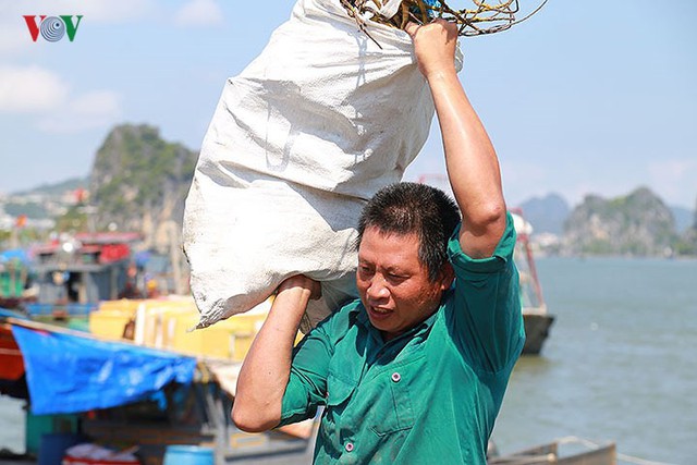 Ảnh: Mưu sinh bên bờ Vịnh trong nắng nóng như đổ lửa - Ảnh 17.